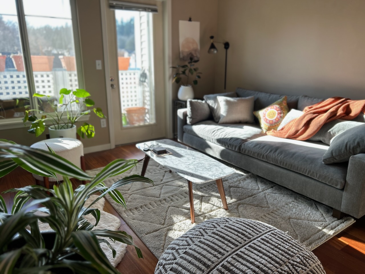 Professional cleaning service